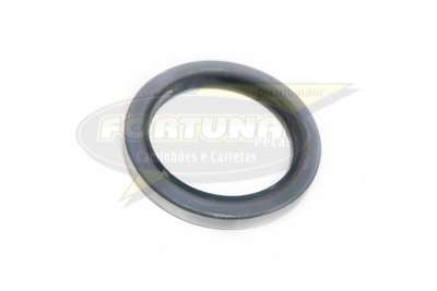 RETENTOR PINHAO DIFERENCIAL MAN TGX/MB ACTROS- 6X4 - ENTRADA